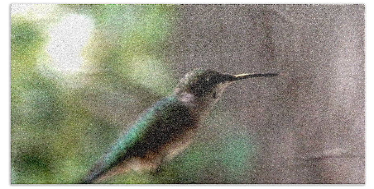 #hummingbird Beach Towel featuring the photograph Hummingbird On A Mission by Belinda Lee