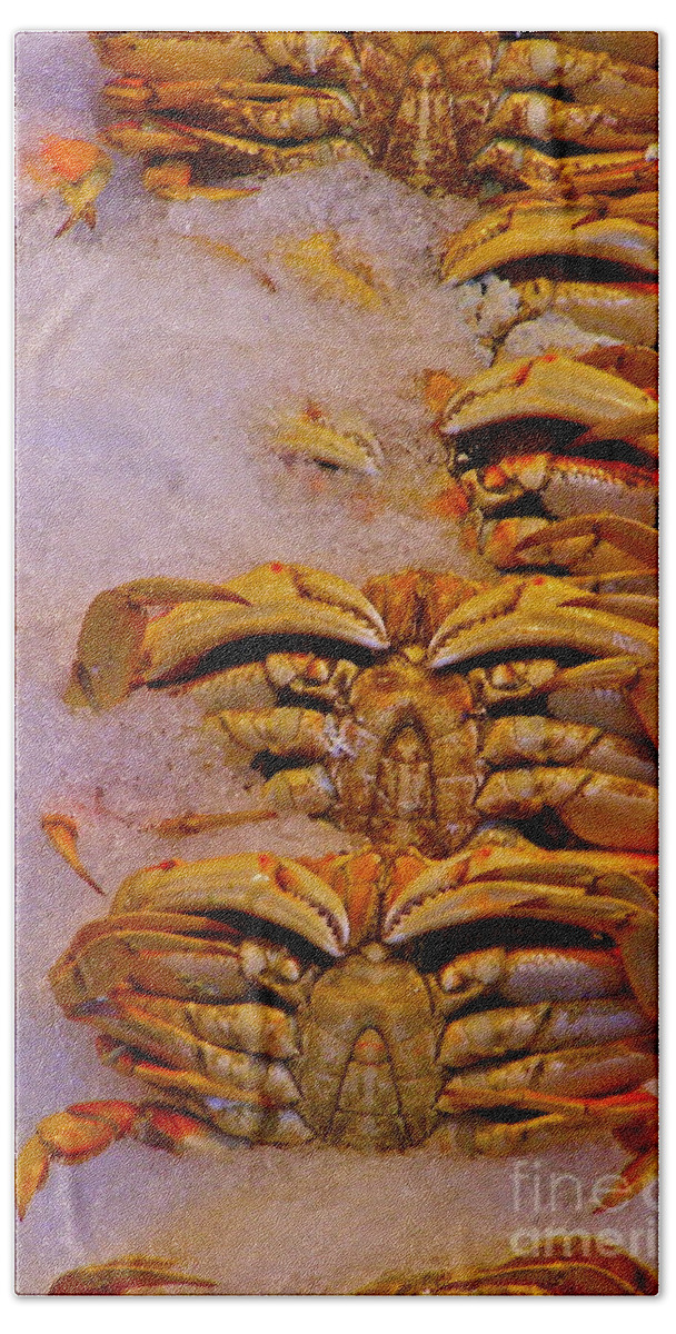 Crabs Beach Sheet featuring the photograph On Ice by LeLa Becker