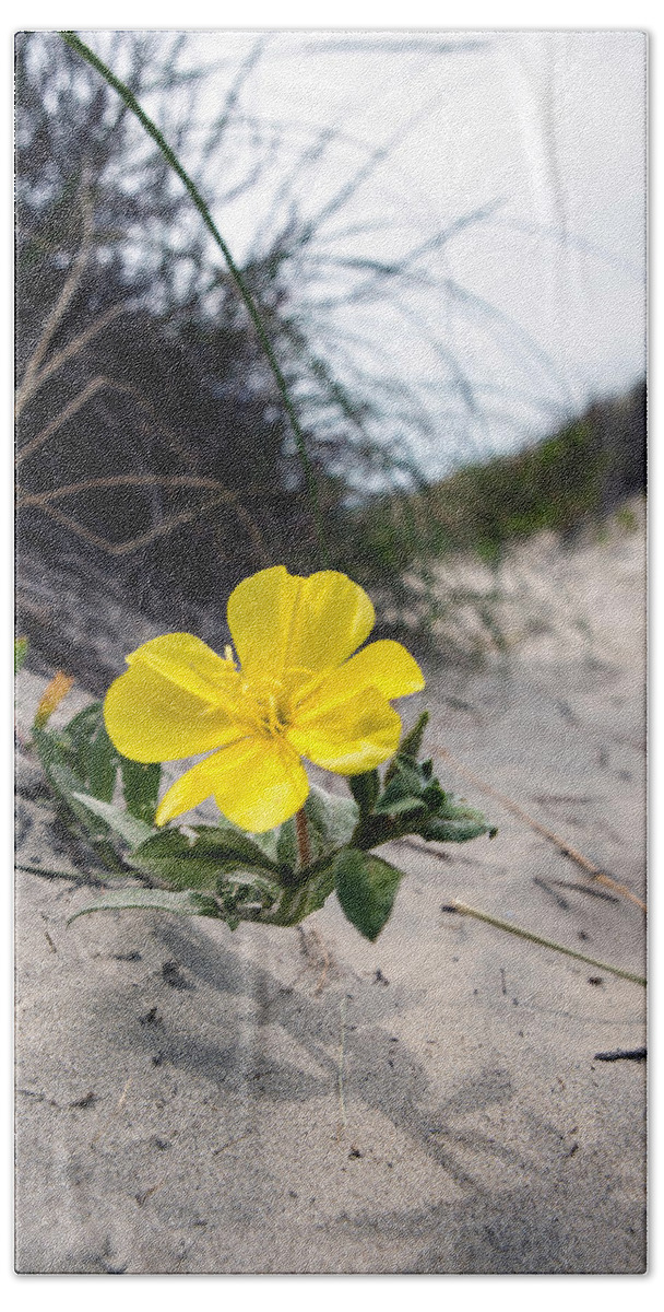 Landscape Beach Towel featuring the photograph On the path by Sennie Pierson