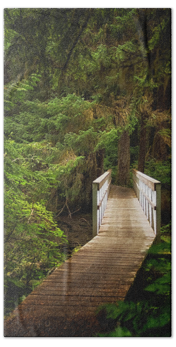British Columbia Beach Towel featuring the photograph On the Trail by Carrie Cole