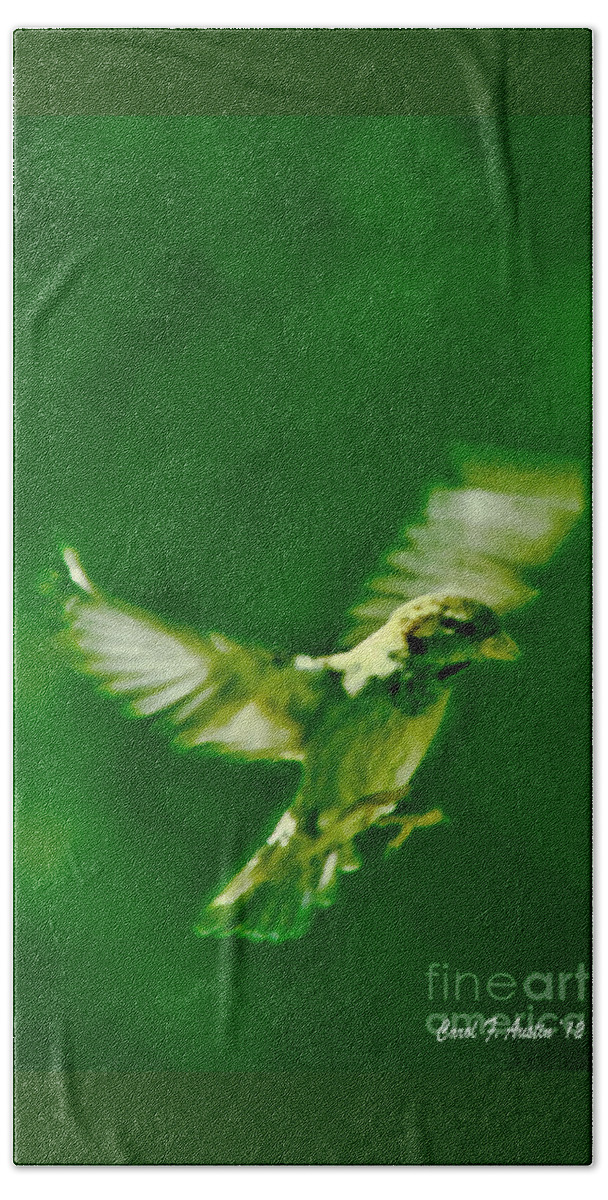 Bird Beach Towel featuring the photograph On the wings of a Bird by Carol F Austin