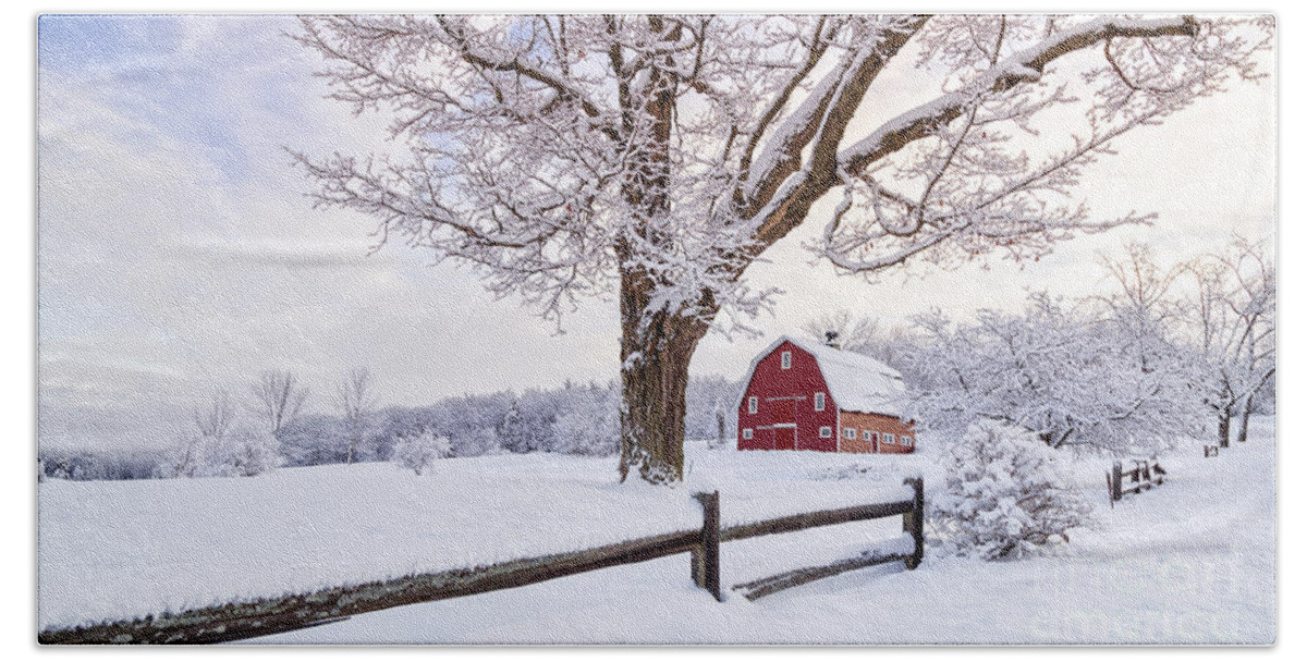 Etna Beach Towel featuring the photograph One Winter Morning on the Farm by Edward Fielding