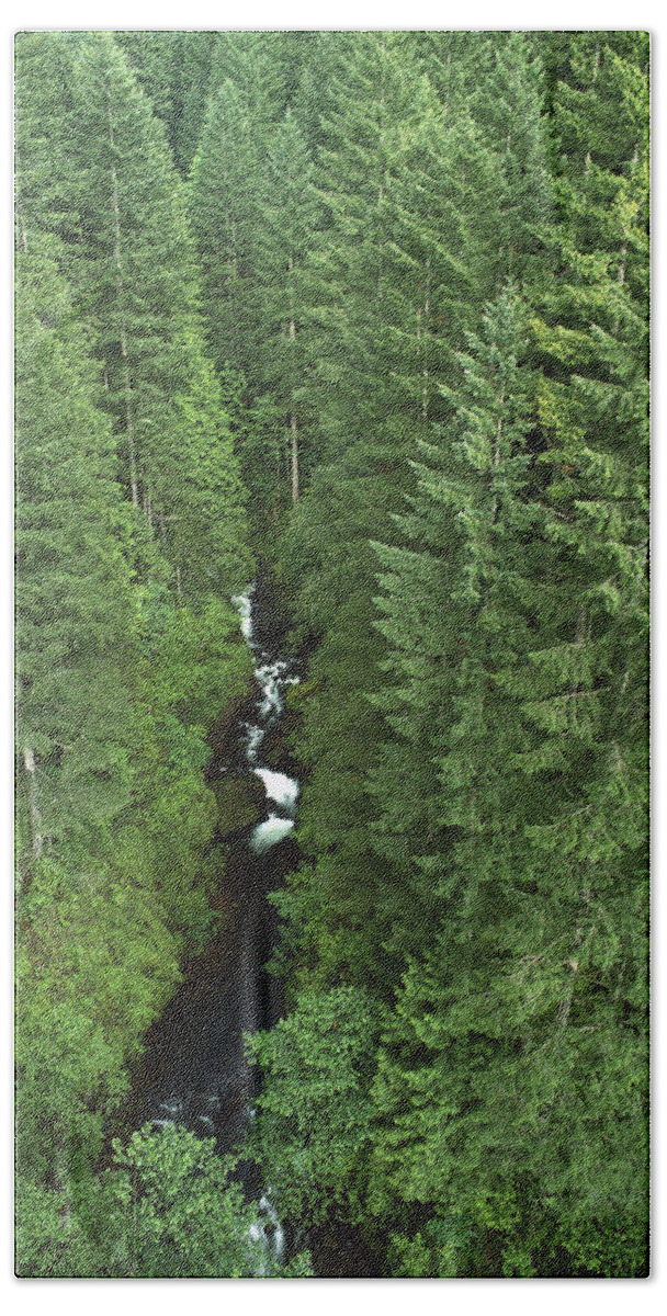 Feb0514 Beach Towel featuring the photograph Oneonta Creek In Columbia Gorge Oregon by Gerry Ellis