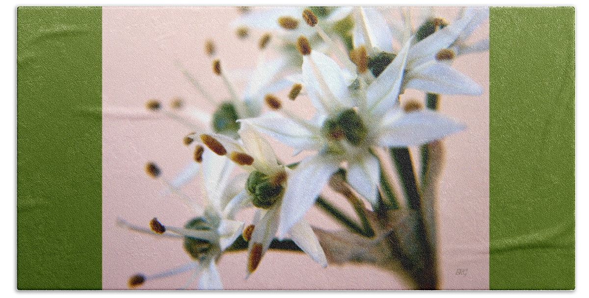 Botanical Beach Sheet featuring the photograph Onion Flower by Ben and Raisa Gertsberg