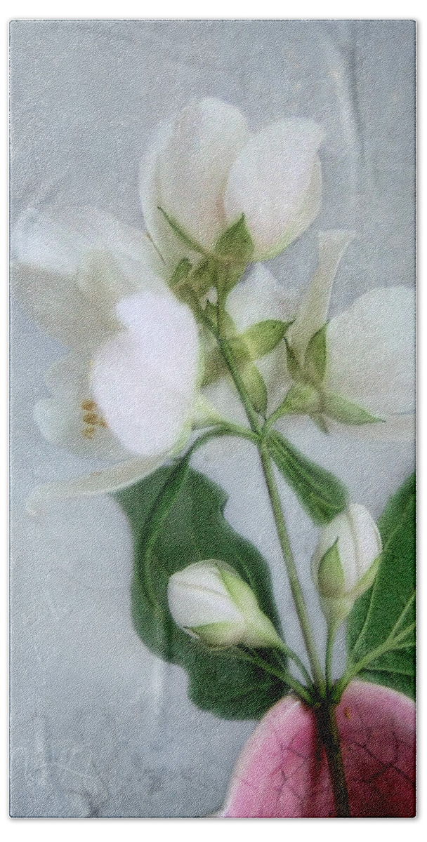 Philadelphus Beach Sheet featuring the photograph Orange Blossom Time by Louise Kumpf
