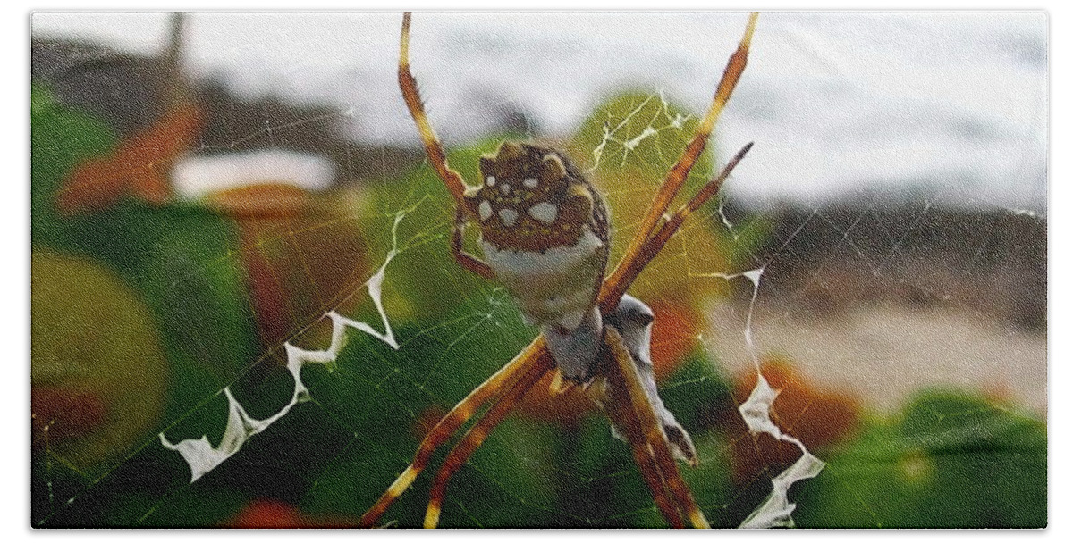 Spider Beach Towel featuring the photograph Orange Caribbean Spider - Silver Argiope by Amy McDaniel