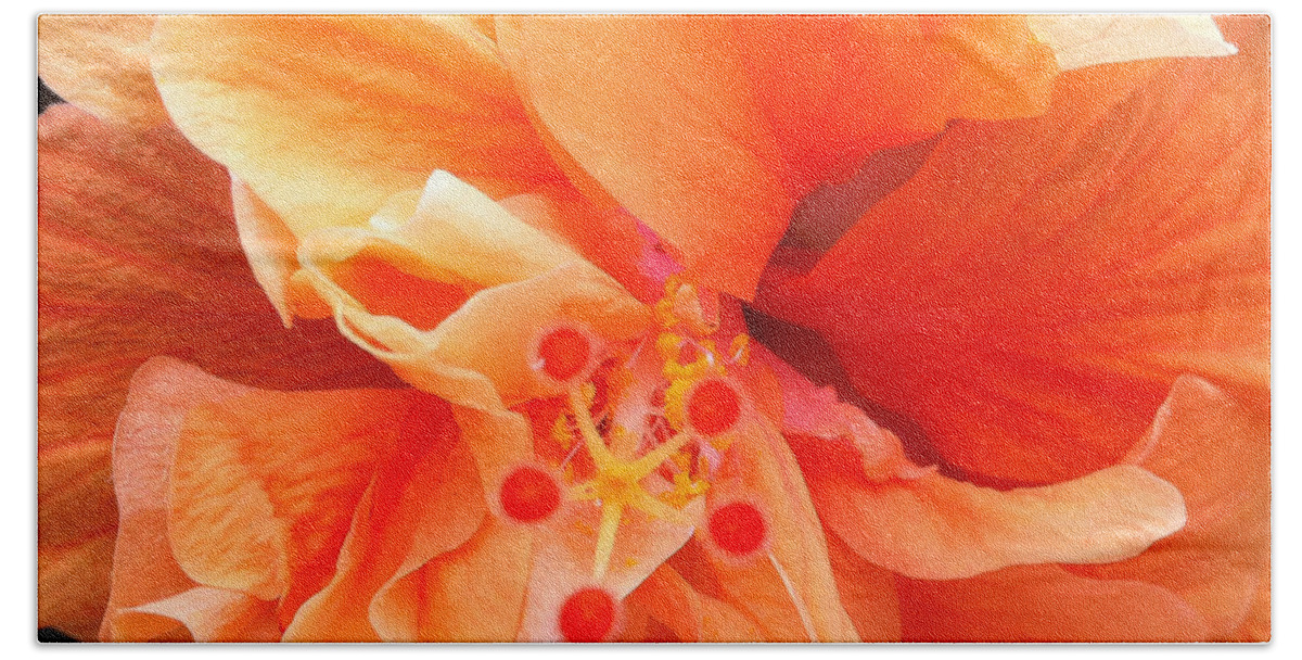 Karen Zuk Rosenblatt Art And Photography Beach Towel featuring the photograph Orange Hibiscus by Karen Zuk Rosenblatt
