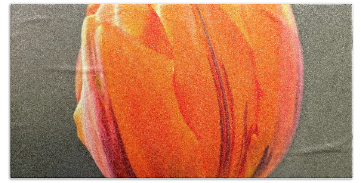 Tulip Beach Sheet featuring the photograph Orange Red Tulip Square by Sandi OReilly