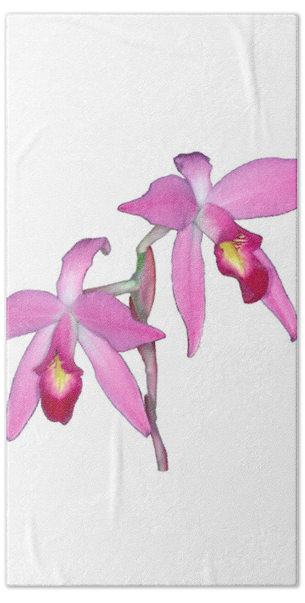 Flower Beach Towel featuring the photograph Orchid 1-1 by Andy Shomock