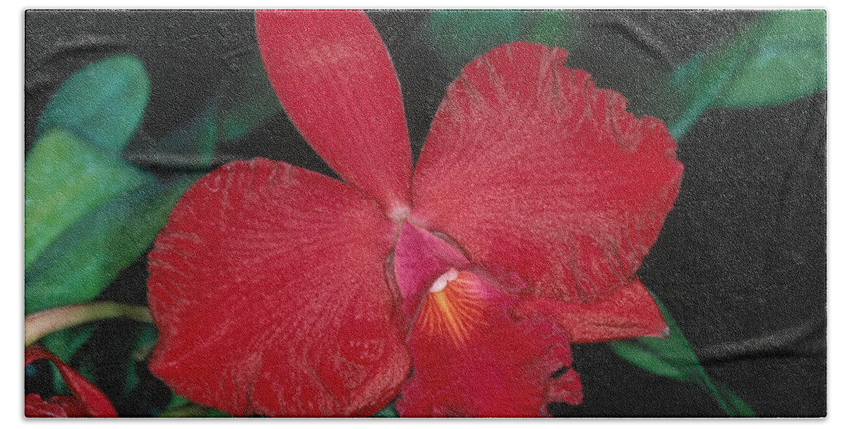 Flower Beach Sheet featuring the photograph Orchid 12 by Andy Shomock