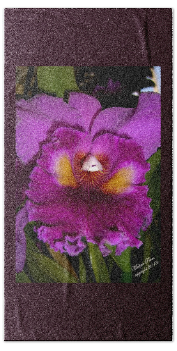 Orchid Beach Sheet featuring the photograph Orchid Flames by Michele Penn