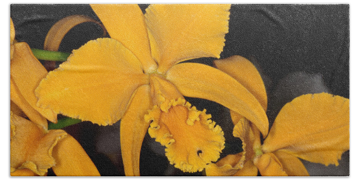 Flower Beach Sheet featuring the photograph Orchid 5 by Andy Shomock