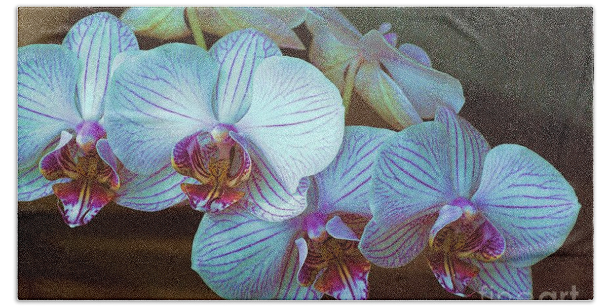 Orchid Beach Towel featuring the photograph Orchids by Amalia Suruceanu
