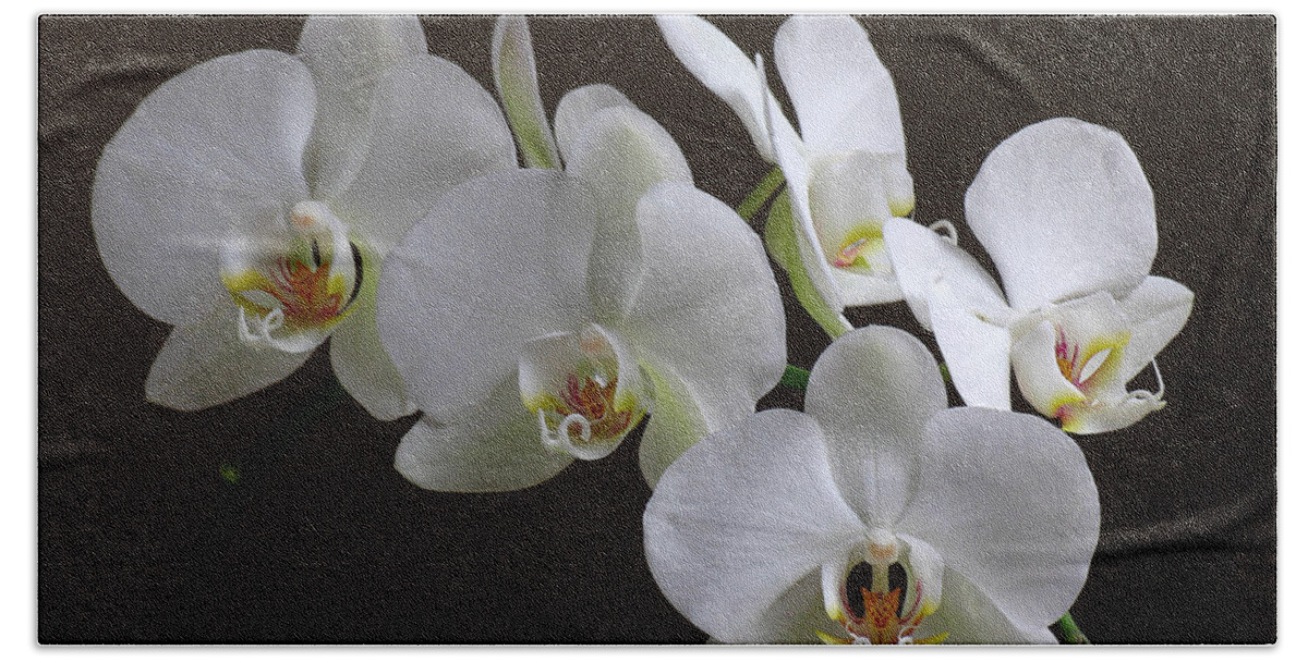 Luminous Beach Towel featuring the photograph Orchids by Juergen Roth