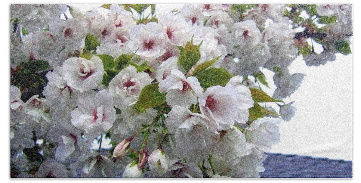 Oregon Cherry Blossoms Beach Sheet featuring the photograph Oregon Cherry Blossoms by Will Borden