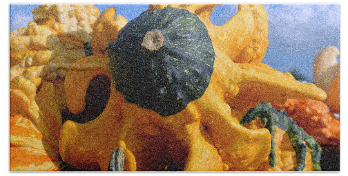 Ornamental Gourds Beach Towel featuring the photograph Ornamental Gourds 7994 by Terri Winkler