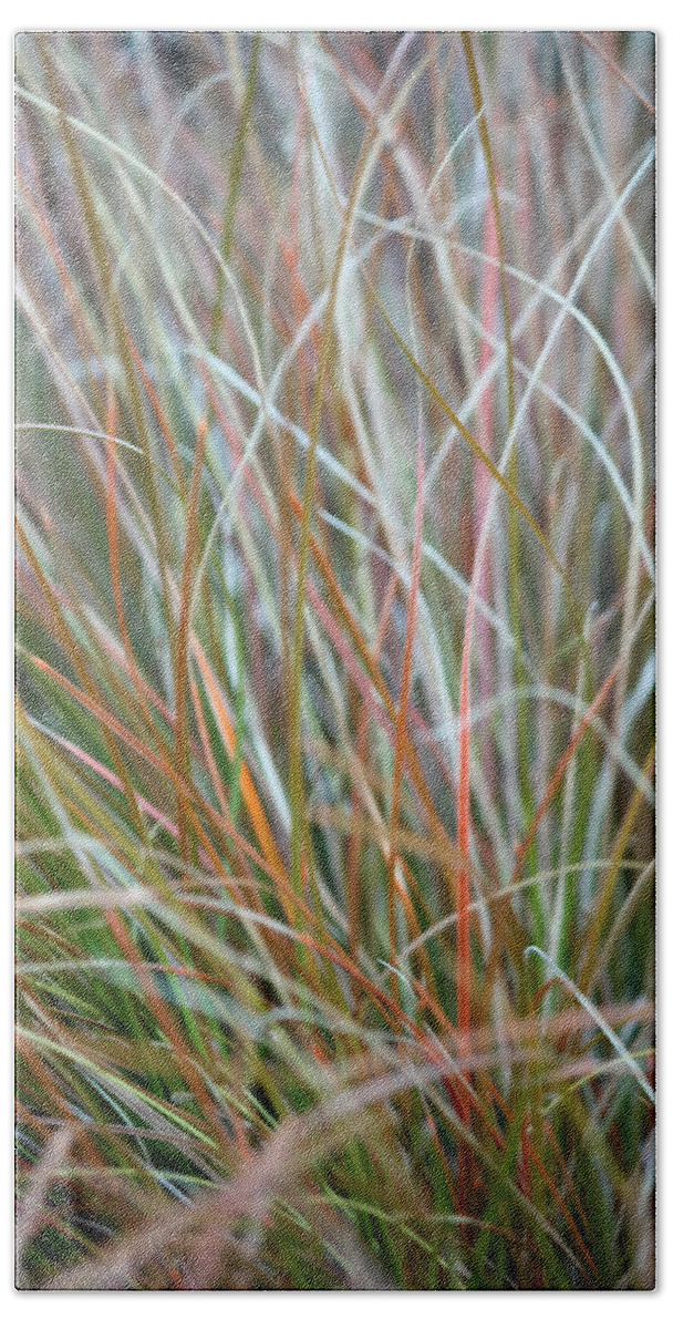 Abstract Art Beach Towel featuring the photograph Ornamental Grass Abstract by E Faithe Lester