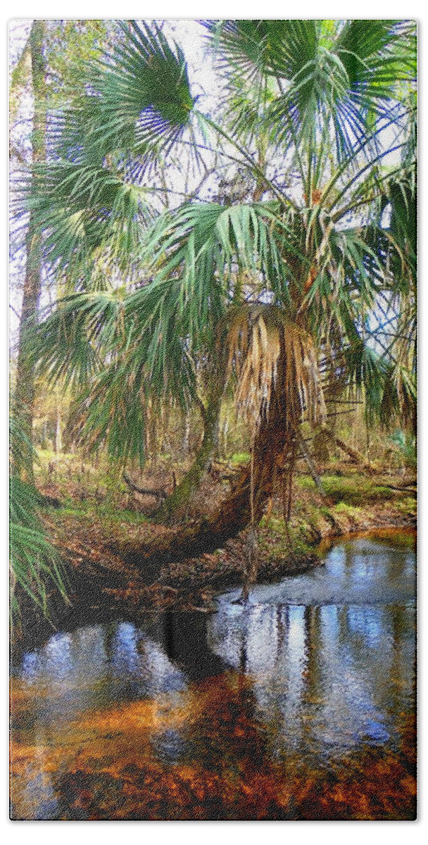 Creek Beach Towel featuring the photograph Over the Creek by Sheri McLeroy