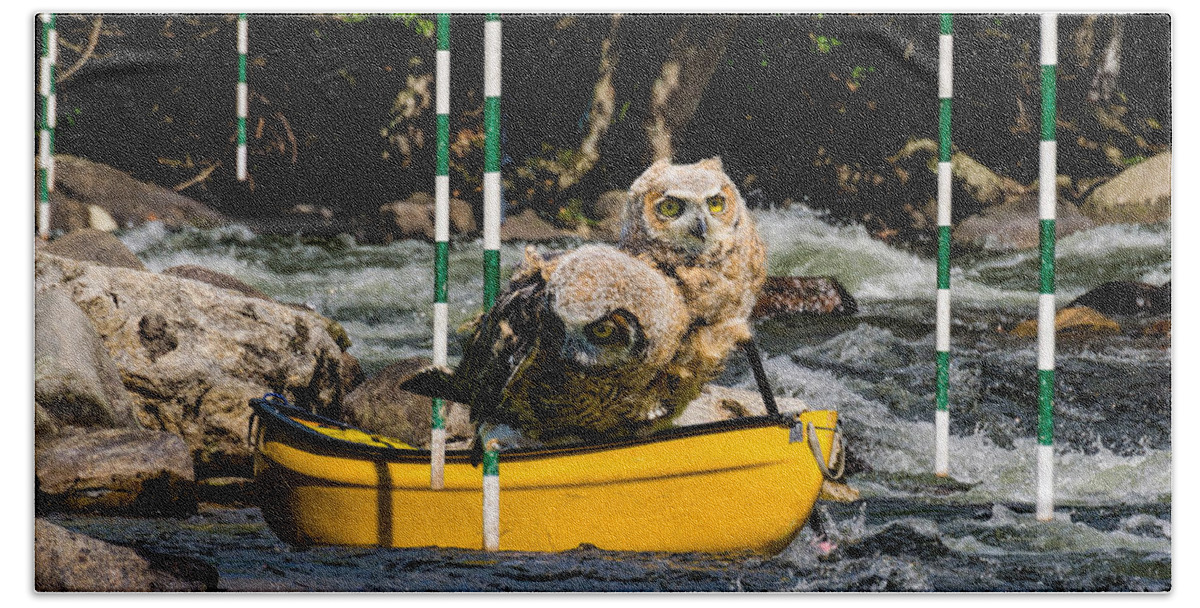 Outdoor Beach Sheet featuring the photograph Owlets In A Canoe by Les Palenik