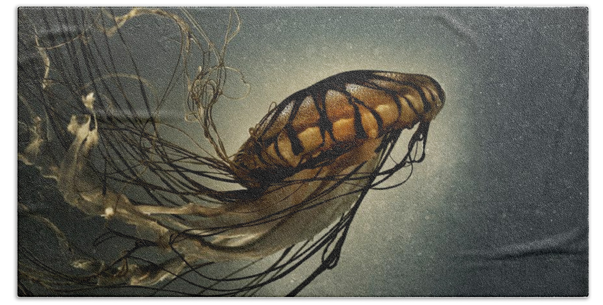 Pacific Sea Nettle Beach Towel featuring the photograph Pacific Sea Nettle by Marianna Mills