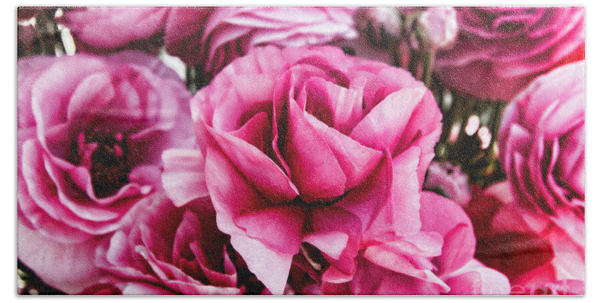 Ranunculus Beach Towel featuring the photograph Paint Me Pink Ranunculus Flowers By Diana Sainz by Diana Raquel Sainz
