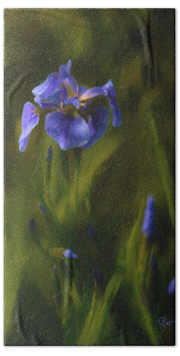 Alaska Beach Towel featuring the photograph Painted Alaskan Wild Irises by Penny Lisowski