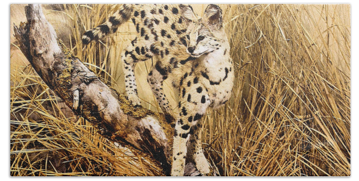 Cheetah Beach Towel featuring the photograph Painted Cheetah by Kristin Elmquist