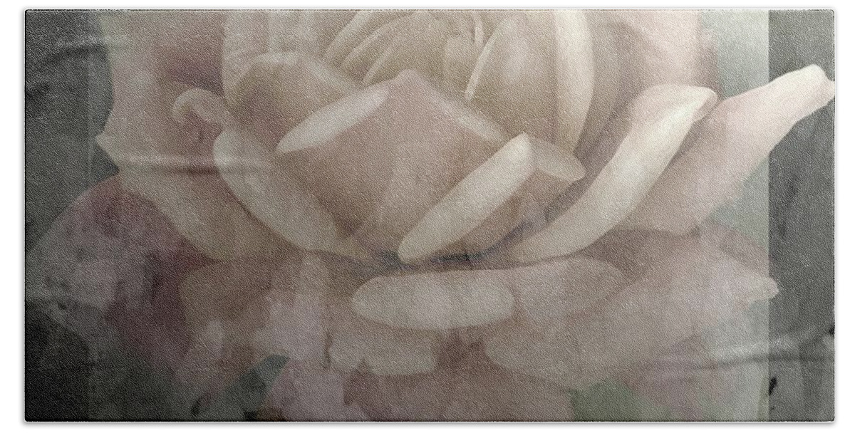  Nature Beach Towel featuring the photograph Pale Rose Photoart by Debbie Portwood