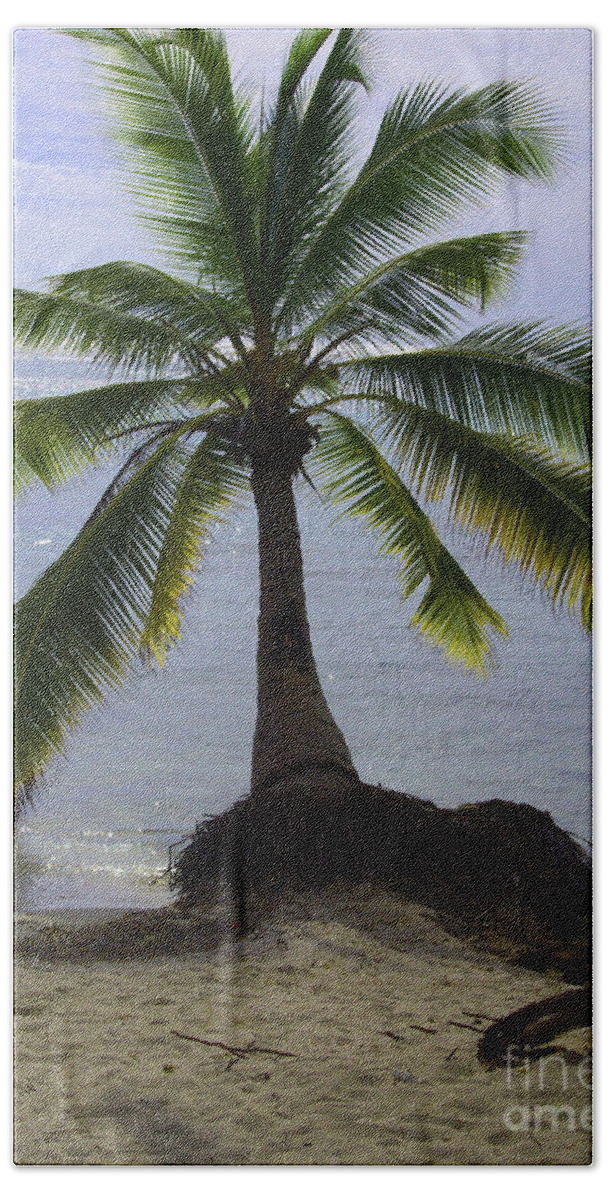 Palm Beach Sheet featuring the photograph Palm at the Edge of the Sea Number Two by Heather Kirk