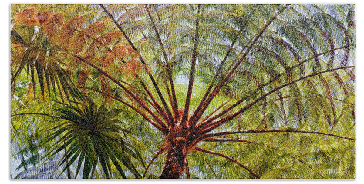 Palm Tree Beach Towel featuring the photograph Palm Canopy by Jim Thompson