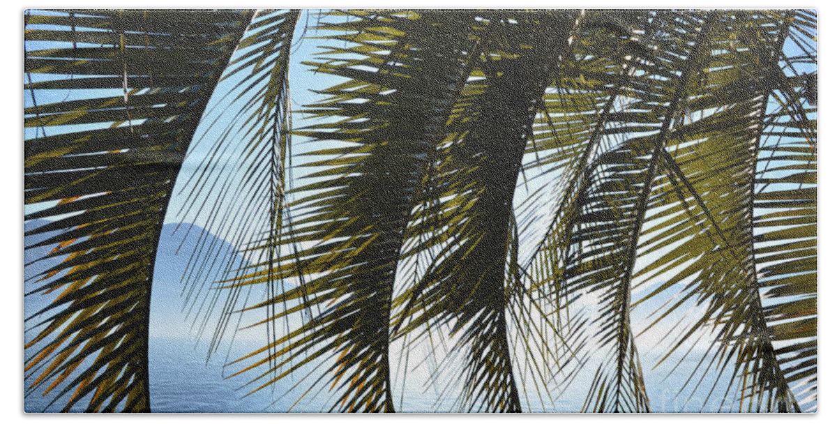 Palm Beach Towel featuring the photograph Palm leaves by Mats Silvan