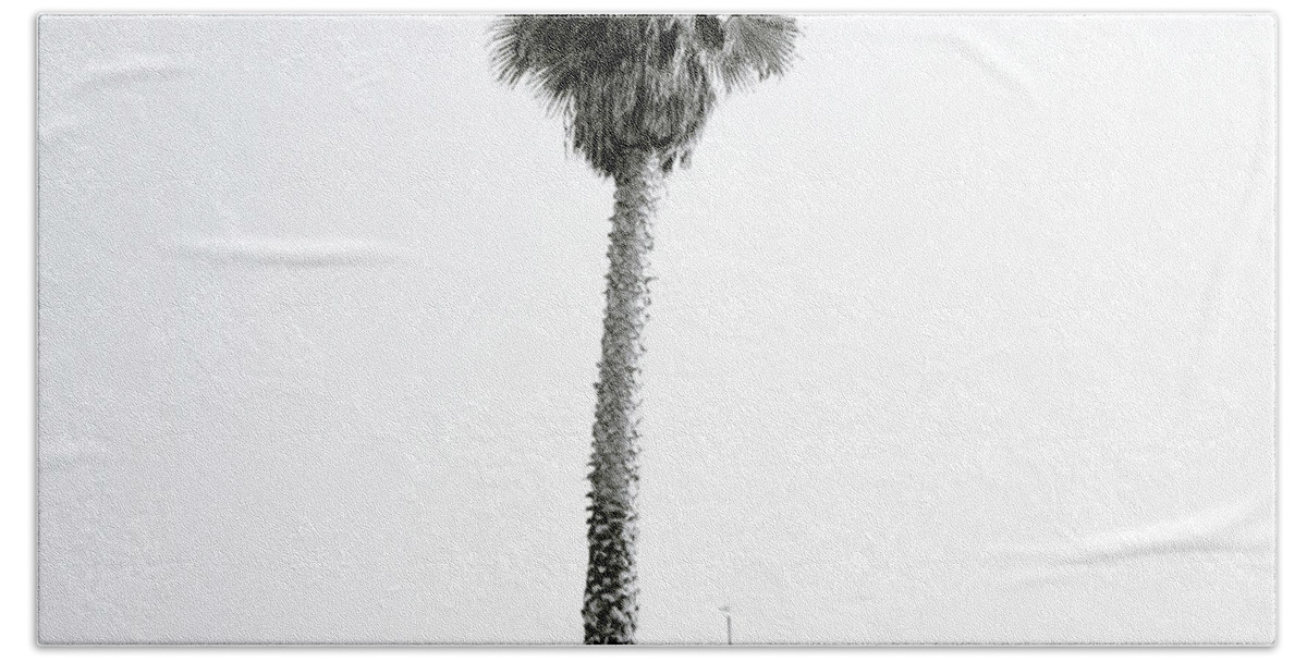 Graffiti Beach Towel featuring the photograph Palm Tree And Graffiti by Shaun Higson