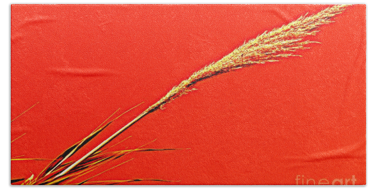 Pampas Beach Towel featuring the photograph Pampas Grass Red by Clare Bevan