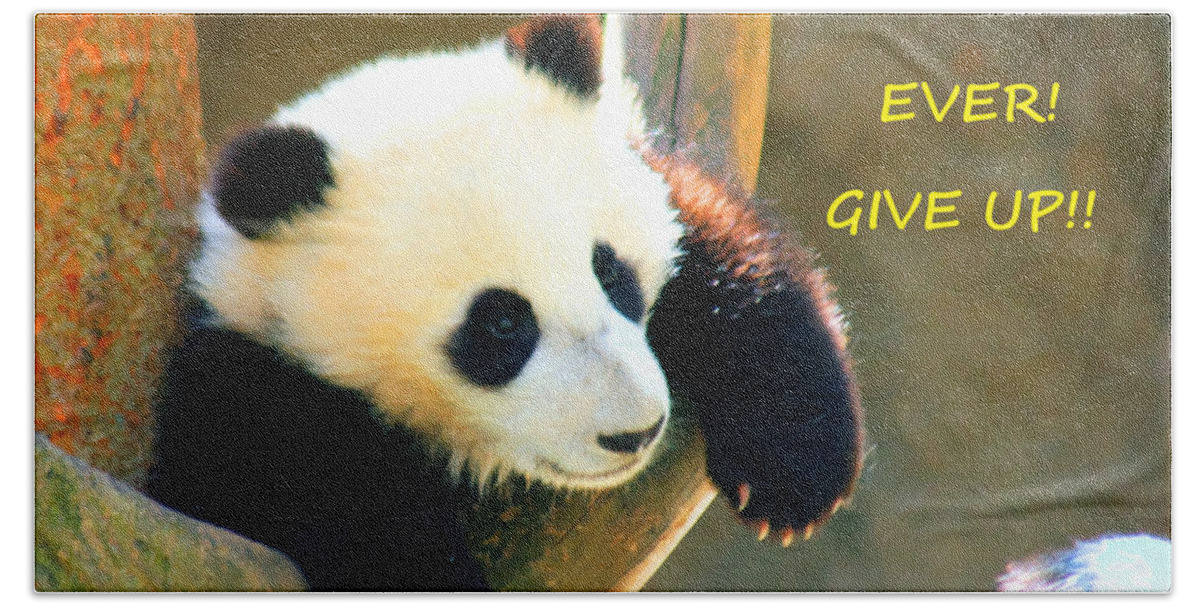 Never Ever Ever Give Up Beach Sheet featuring the photograph Panda Baby Bear Never Ever Ever Give Up by Tap On Photo