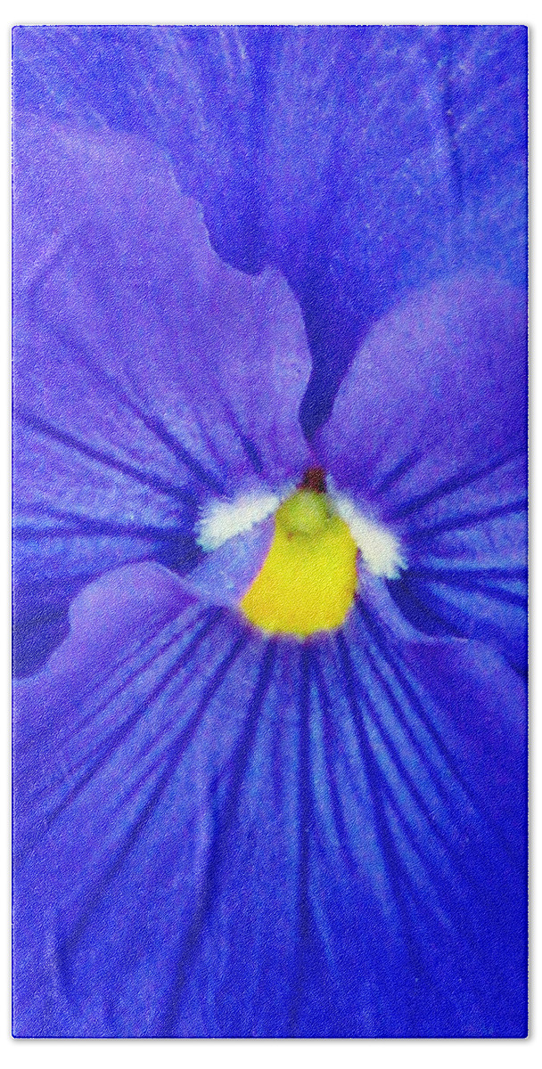 Pansy Beach Towel featuring the photograph Pansy Flower 37 by Pamela Critchlow