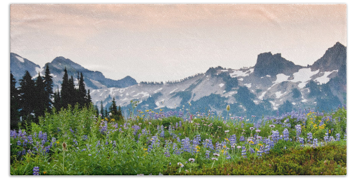 Alpine Beach Towel featuring the photograph Paradise Meadows and the Tatoosh Range by Jeff Goulden