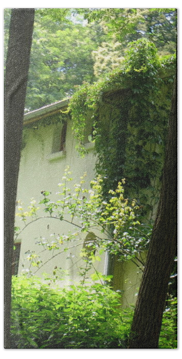 Trees Beach Towel featuring the photograph Paris - Green House by HEVi FineArt