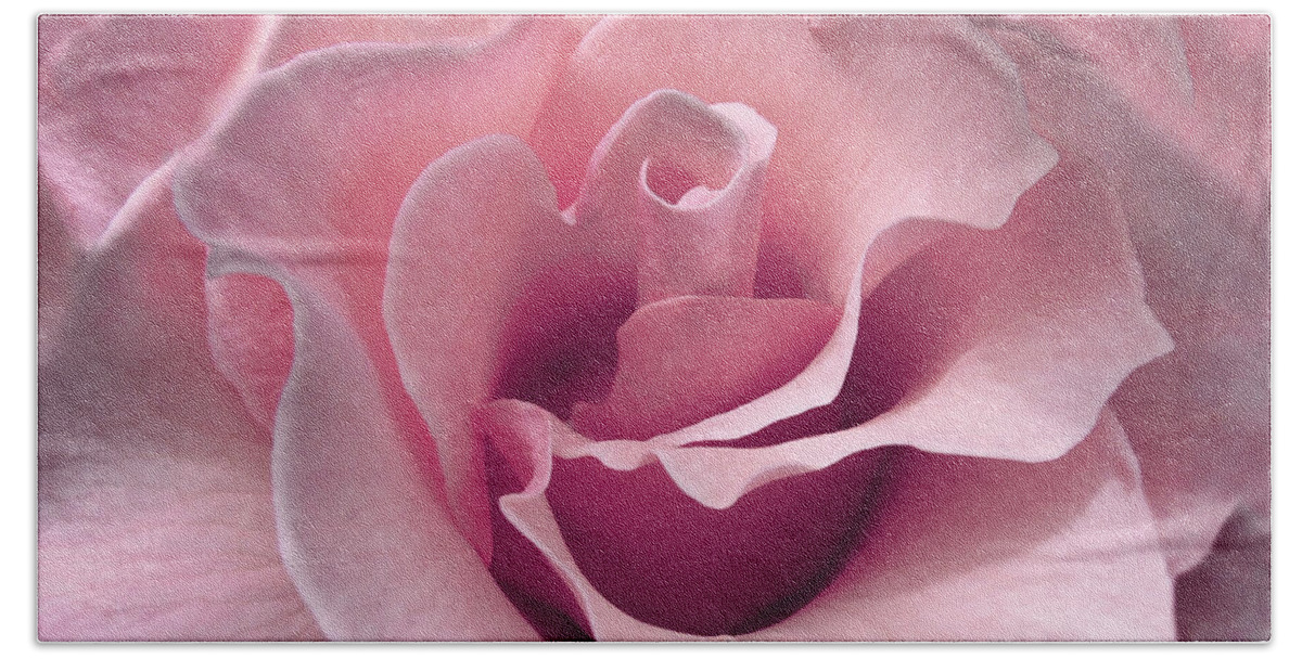 Rose Beach Towel featuring the photograph Passion Pink Rose Flower by Jennie Marie Schell