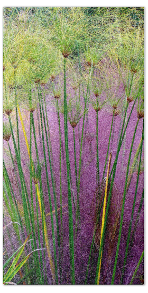 Fine Art Beach Towel featuring the photograph Pastel Grass by Rodney Lee Williams