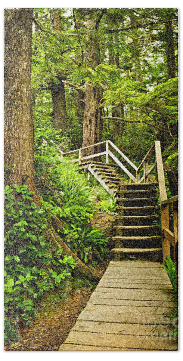 Rainforest Beach Towel featuring the photograph Wooden path in temperate rainforest by Elena Elisseeva