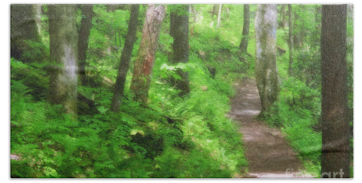 Joyce Kilmer Forest Beach Towel featuring the digital art Path in the Forest by Jill Lang
