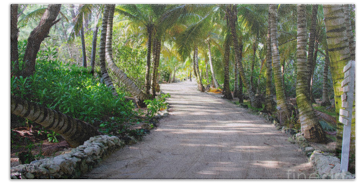 Trees Beach Towel featuring the photograph Pathway by Carey Chen