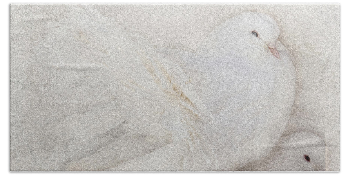 Dove Beach Towel featuring the photograph Peaceful Existence White on White by Barbara McMahon