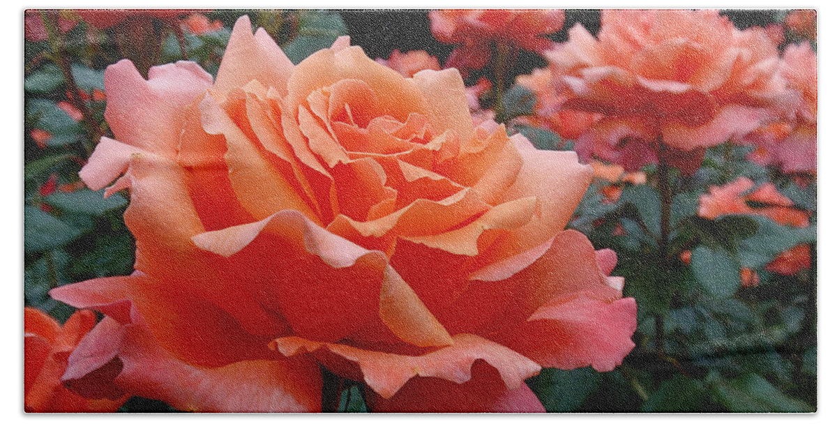 Roses Beach Sheet featuring the photograph Peach Roses by Rona Black