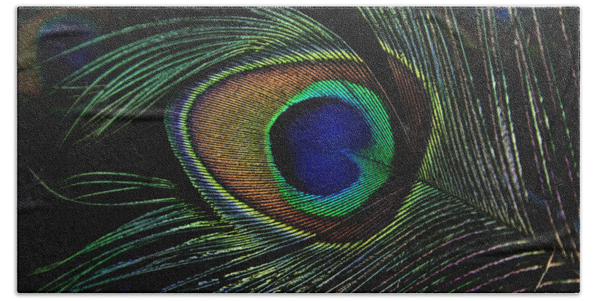 Animals Beach Towel featuring the photograph Peacock Eye by Joachim G Pinkawa
