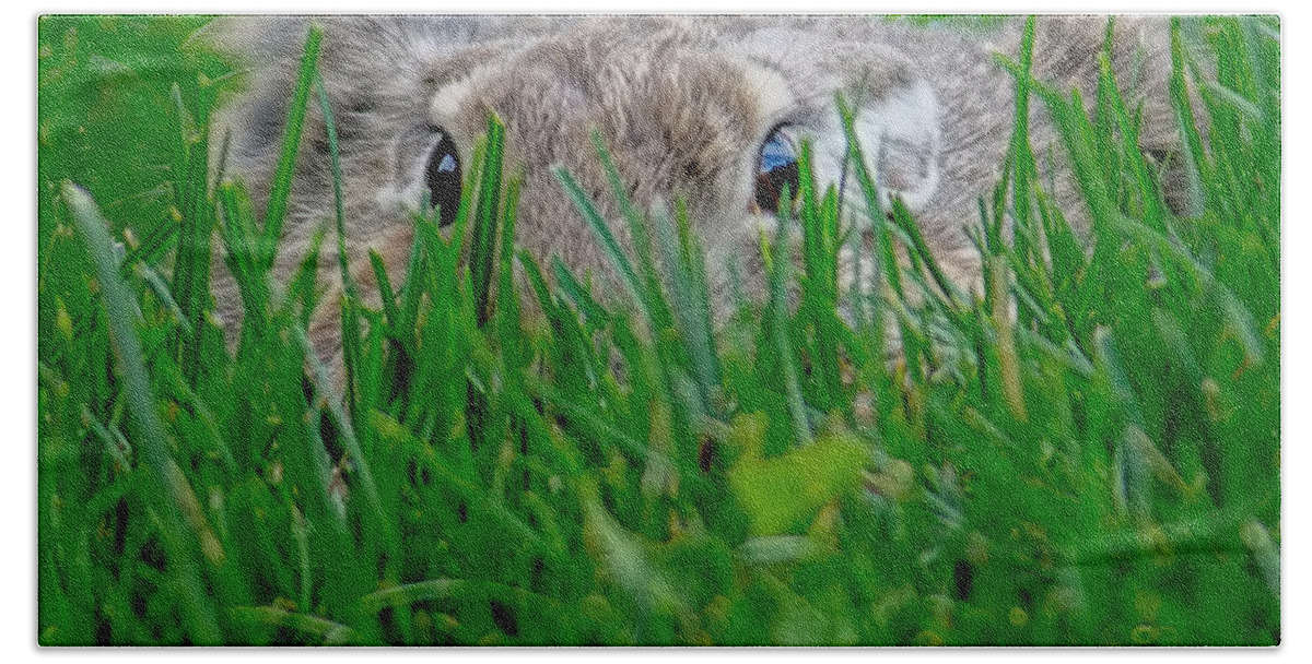 Rabbits Beach Towel featuring the photograph Peek A Boo I See You by Ernest Echols