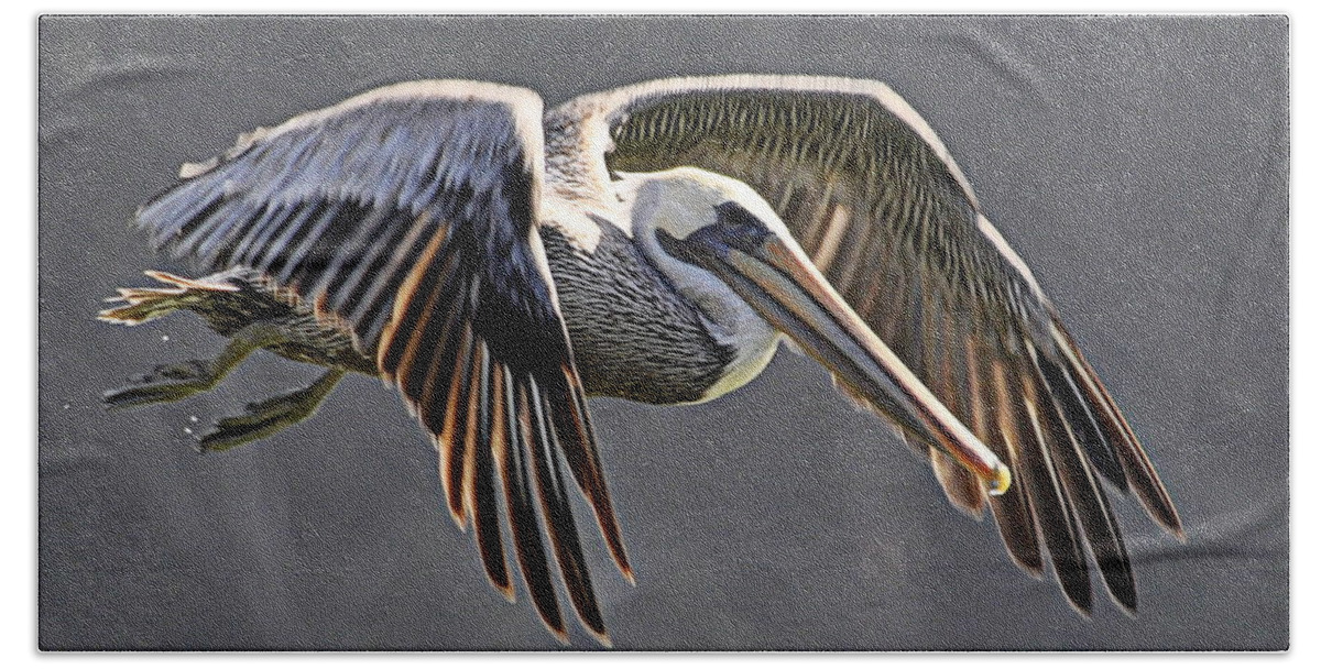 Birds Beach Towel featuring the photograph Pelican Flyby by AJ Schibig