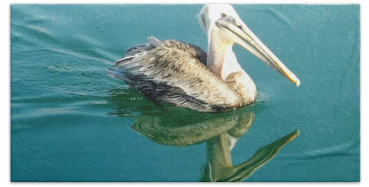 Pelican Beach Towel featuring the photograph Pelican in San Francisco Bay by Clare Bevan