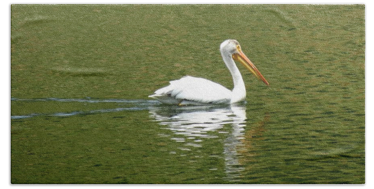 Colorado Beach Towel featuring the photograph Pelican Reflection on Lake by Marilyn Burton