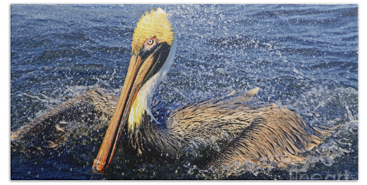Pelican Beach Towel featuring the photograph Showering Pelican by Larry Nieland